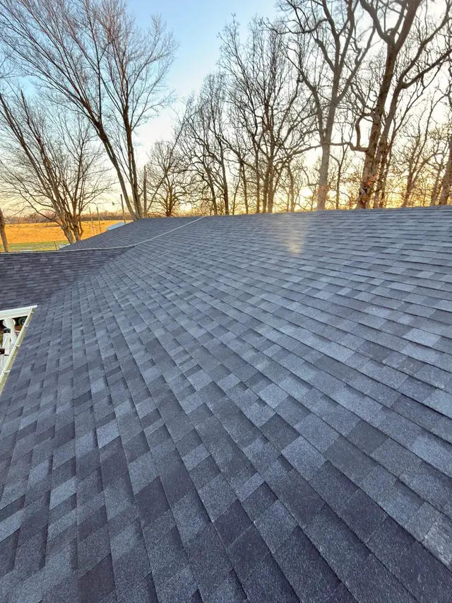 New shingle roof with a view over bare trees at sunset